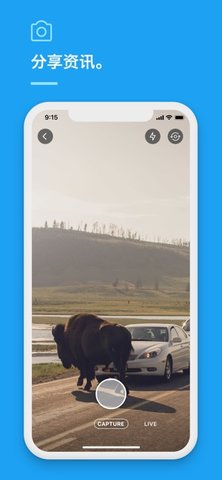 图标是小鸟的软件app