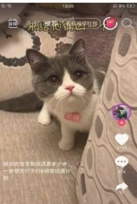  爱抖短视频app