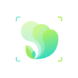 蔬菜识别app