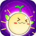 金桔思维app
