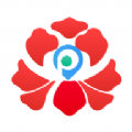 牡丹停APP