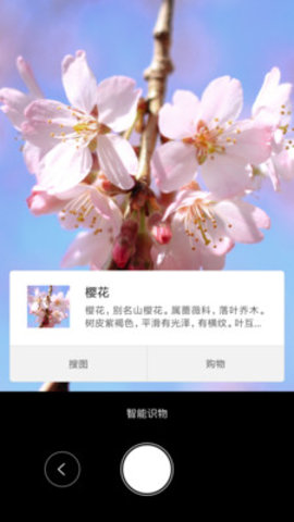 智能识物扫一扫app