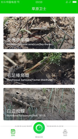 草原卫士蝗虫识别
