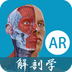 解剖学AR