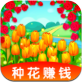 玫瑰小镇
