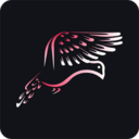 鸽报App
