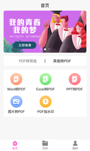 PDF格式大师