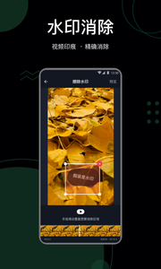 抖快去水印app