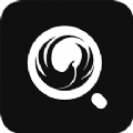 鸟情监测app