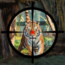 动物森林狩猎游戏