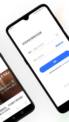 图标是个啄木鸟的浏览器