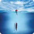 海钓潮汐表app