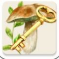 蘑菇识别软件app