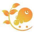 树鱼英语教师版
